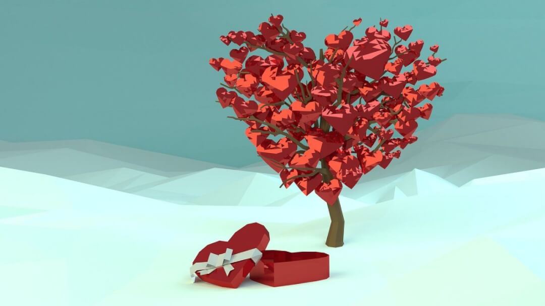 la fête des amoureux approche !