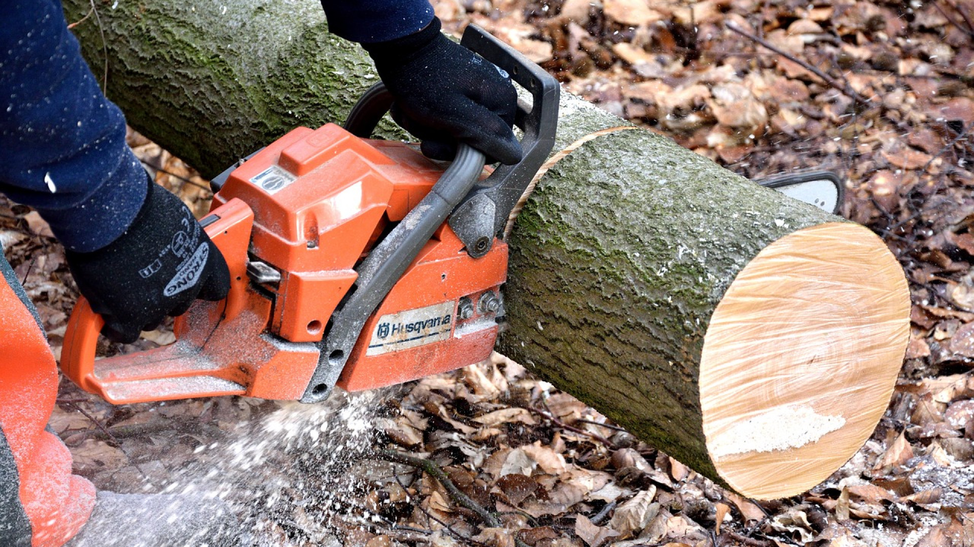 réparation d&rsquo;une tronçonneuse : les étapes à suivre ?