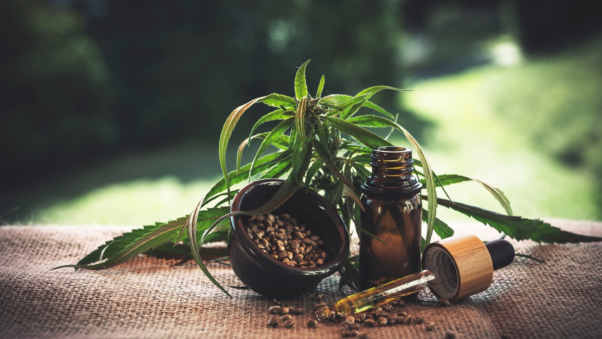 quels sont les avantages des fleurs de cbd ?