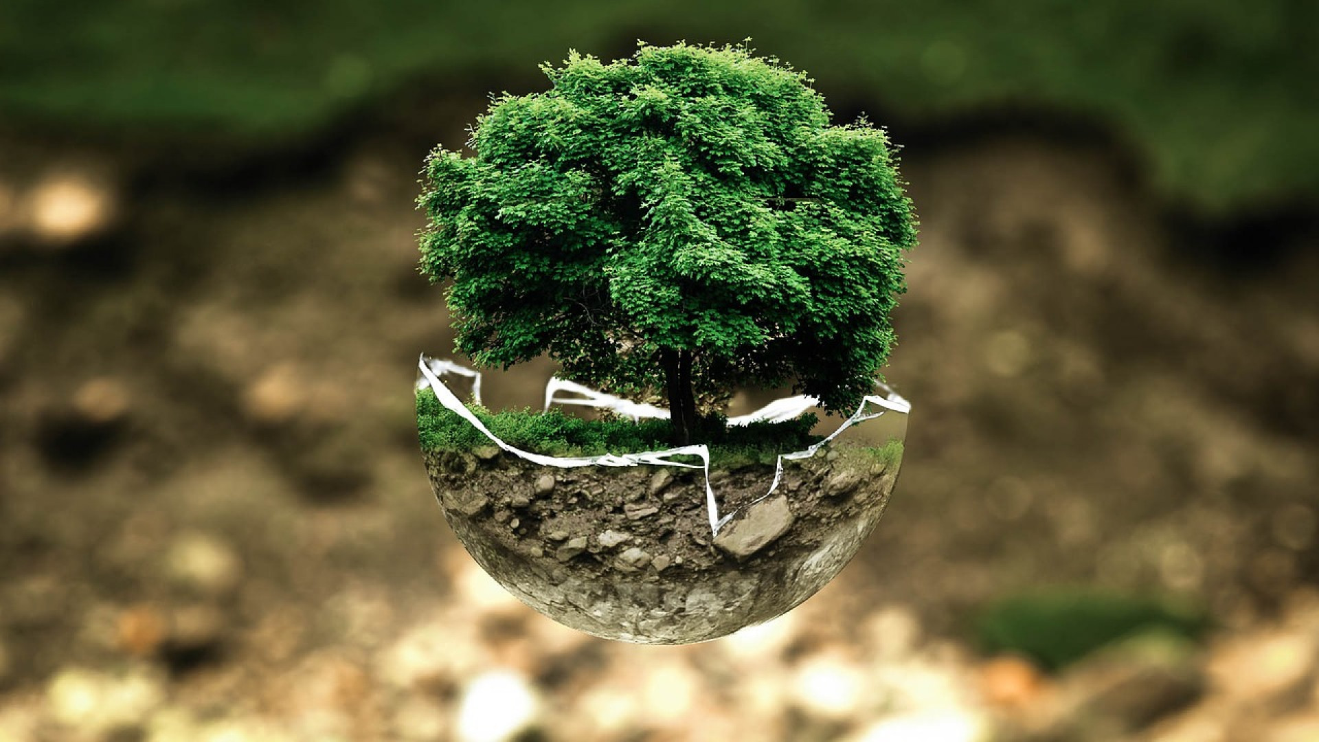 qu&rsquo;en est-il aujourd&rsquo;hui de la transition écologique ?